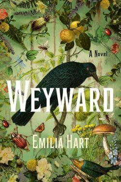 book cover Weyward by Emilia Hart