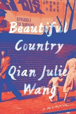 book cover Beautiful Country by Qian Julie Wang